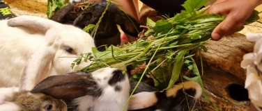 Event-Image for 'Chum in Stall...'