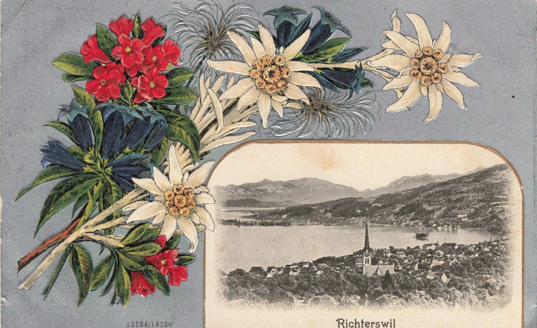 Event-Image for '1. August-Abzeichen und Edelweiss'