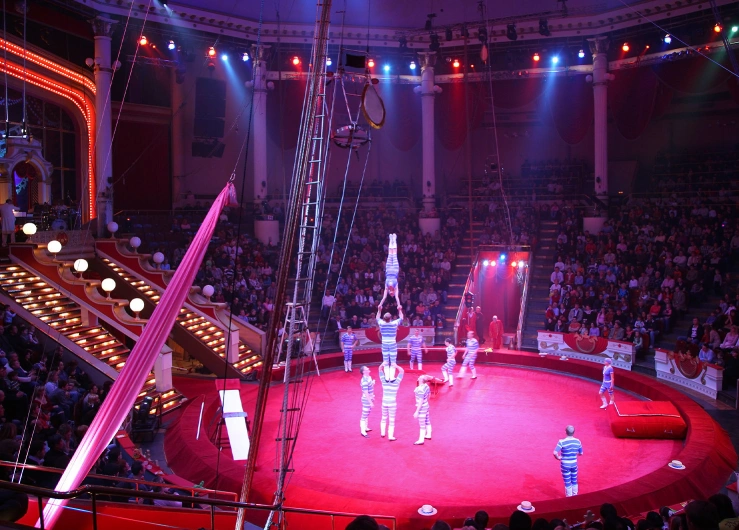 Zirkus-Manege Zirkus-Manege